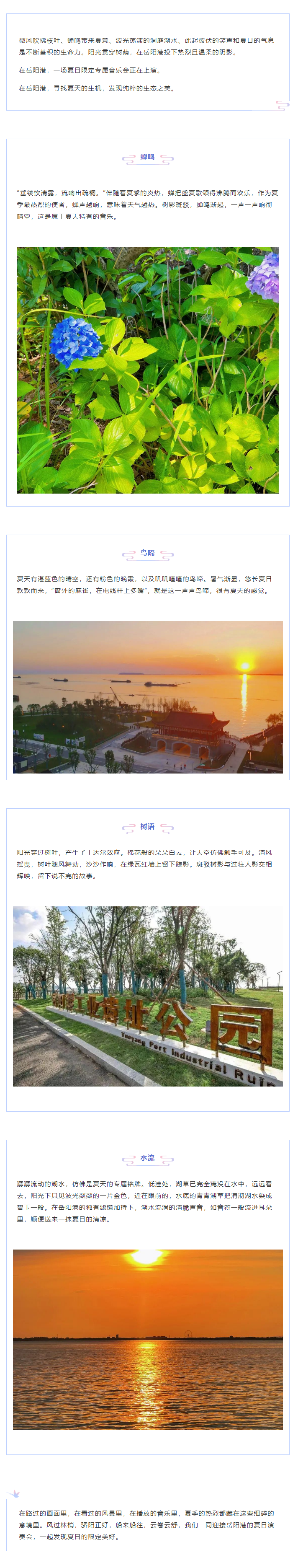 【夏日演奏會(huì)】在岳陽(yáng)港，聆聽(tīng)夏天的聲音.png